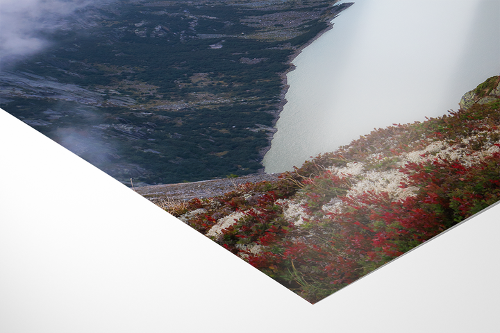 Lake Grimsel Fall Colors | Original Print