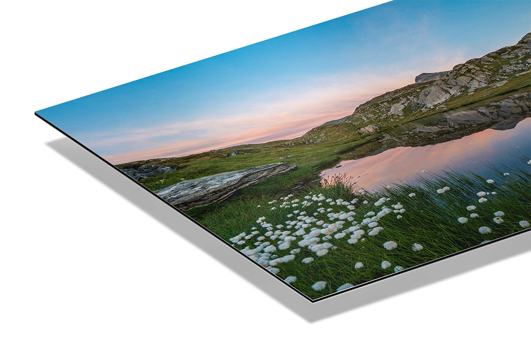Alpine Lake Near Grimsel Pass And Cotton Grass | Original Print