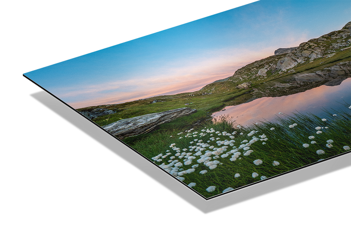 Alpine Lake Near Grimsel Pass And Cotton Grass | Original Print