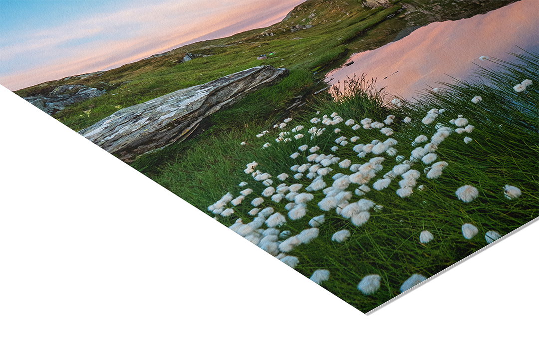 Lake And Cotton Grass At Grimselpass | Original Print