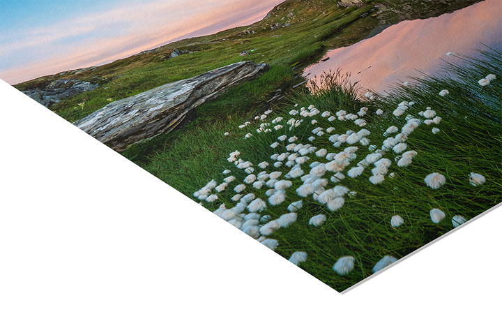 Lake And Cotton Grass At Grimselpass | Original Print