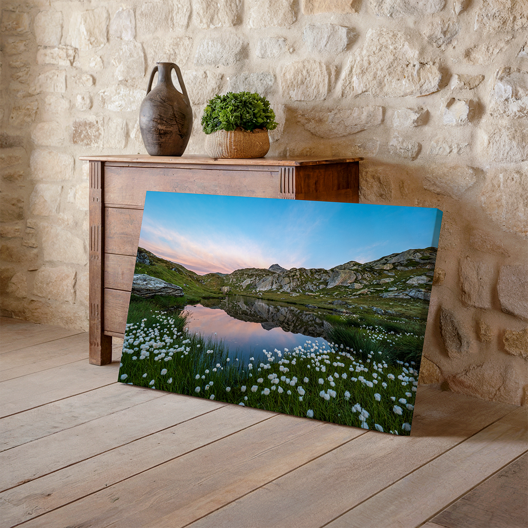 Alpine Lake Near Grimsel Pass And Cotton Grass | Original Print