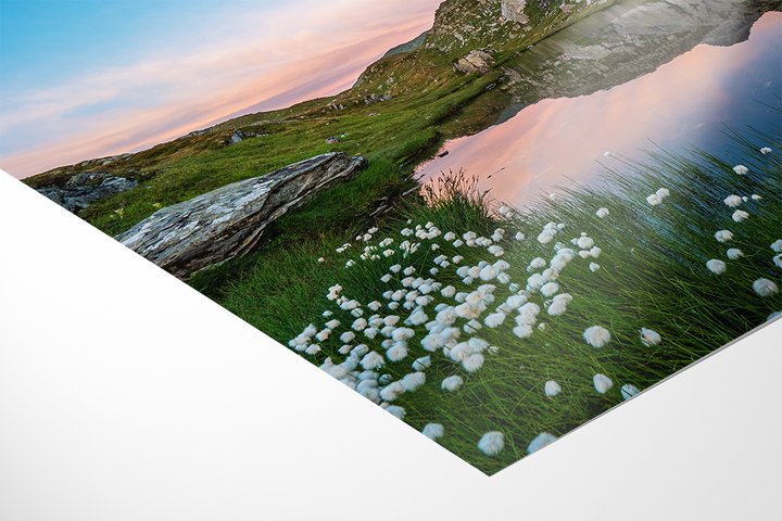 Alpine Lake Near Grimsel Pass And Cotton Grass | Original Print