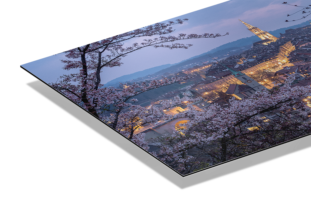 Rosengarten Night in Bern | Original Print