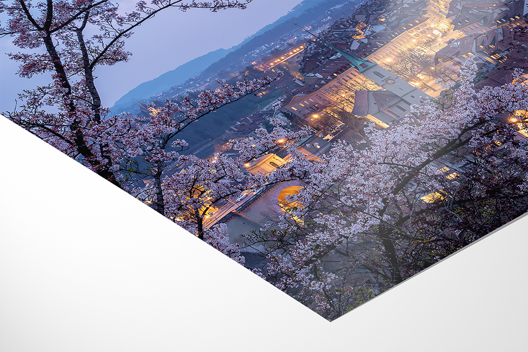 Rosengarten Night in Bern | Original Print