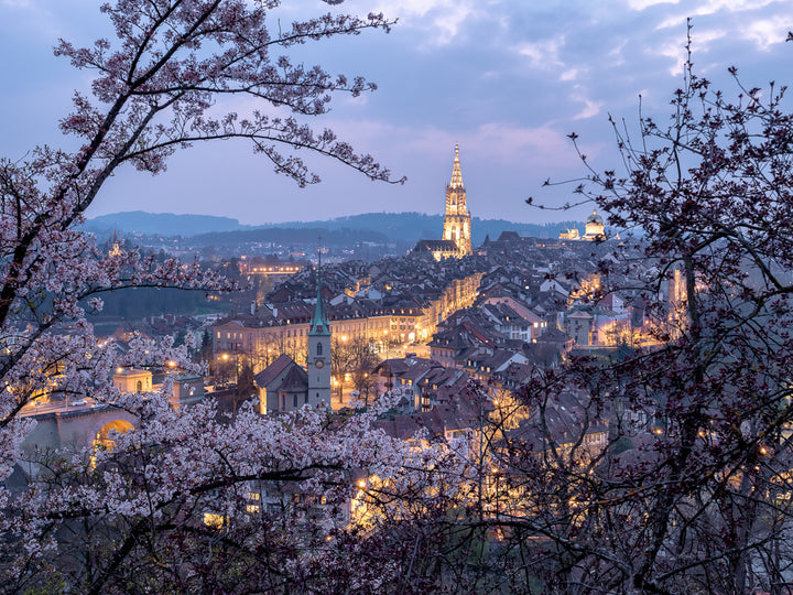 Rosengarten Night in Bern | Original Print