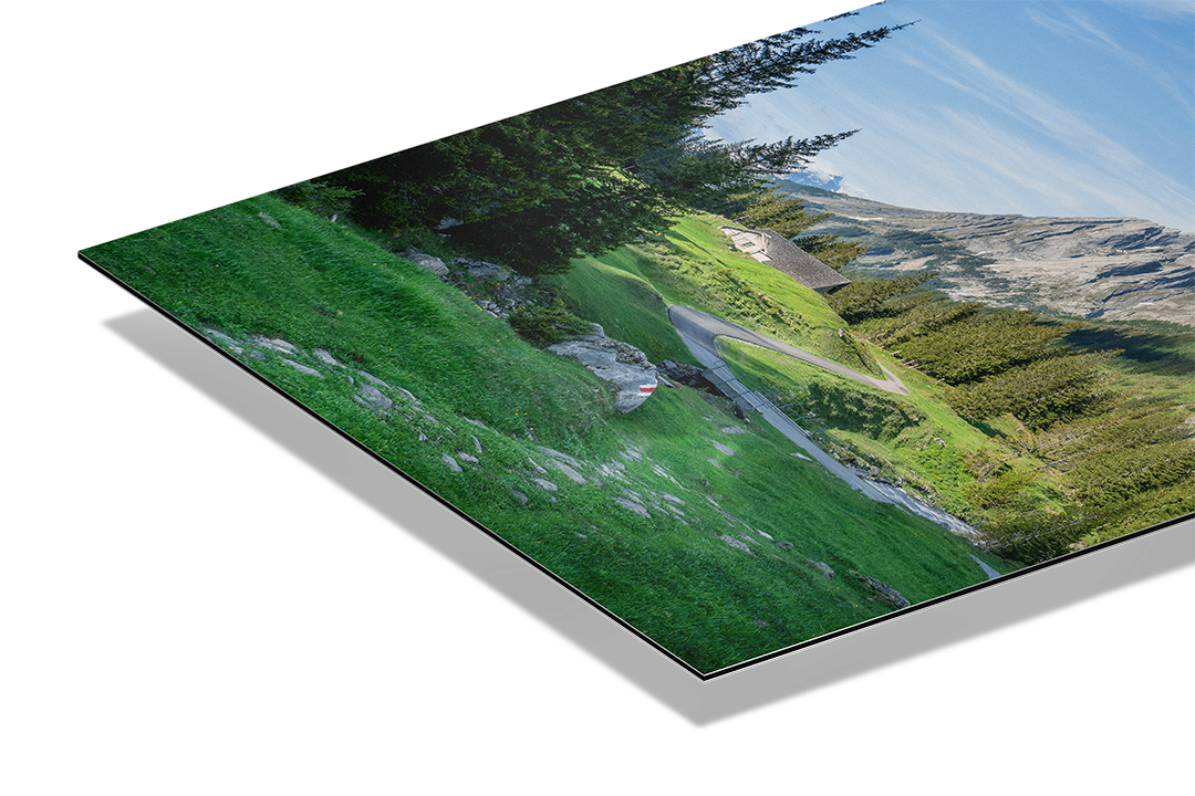 Der Weg zur Grossen Scheidegg | Original Print