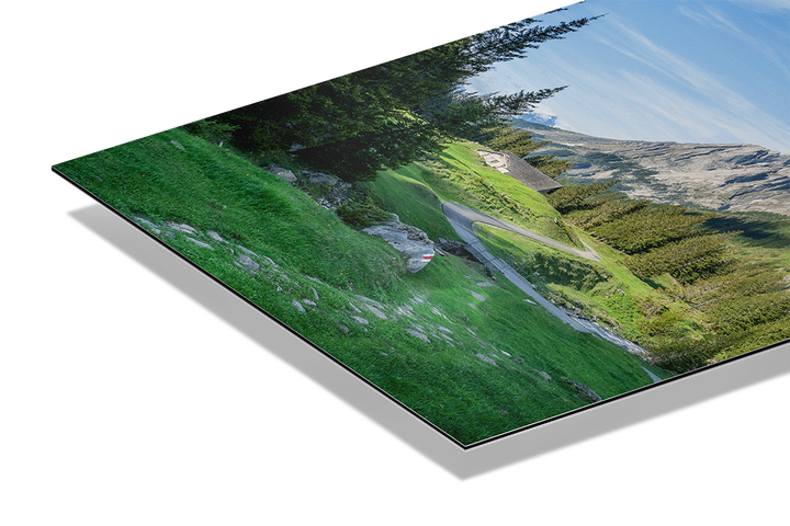 Der Weg zur Grossen Scheidegg | Original Print
