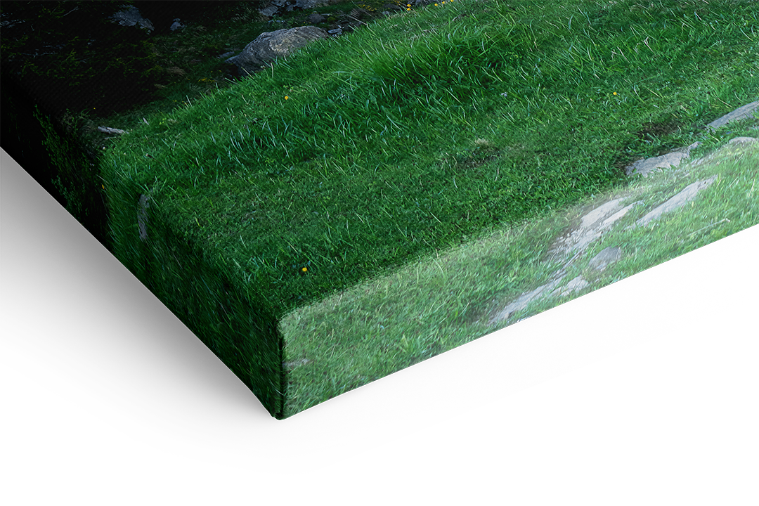 Der Weg zur Grossen Scheidegg | Original Print