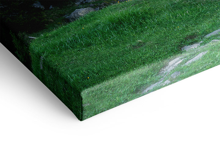 Der Weg zur Grossen Scheidegg | Original Print
