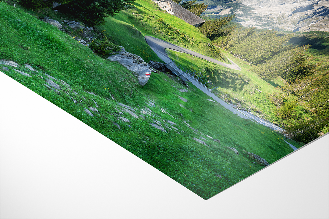 Der Weg zur Grossen Scheidegg | Original Print