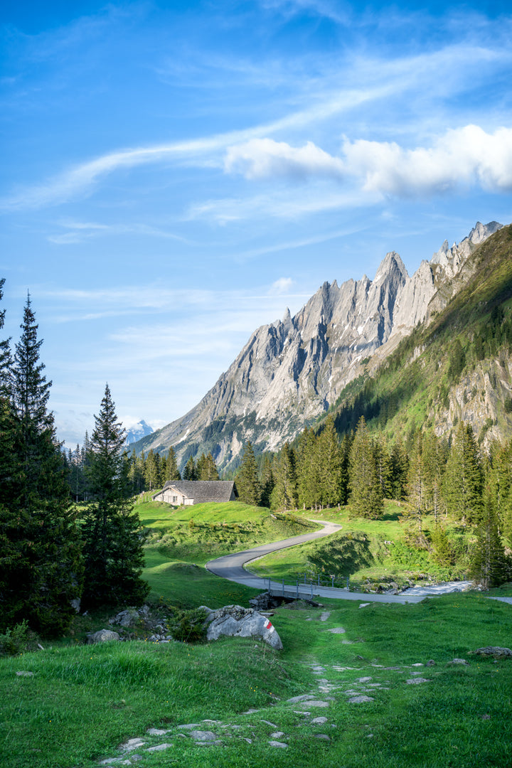 Der Weg zur Grossen Scheidegg | Original Print