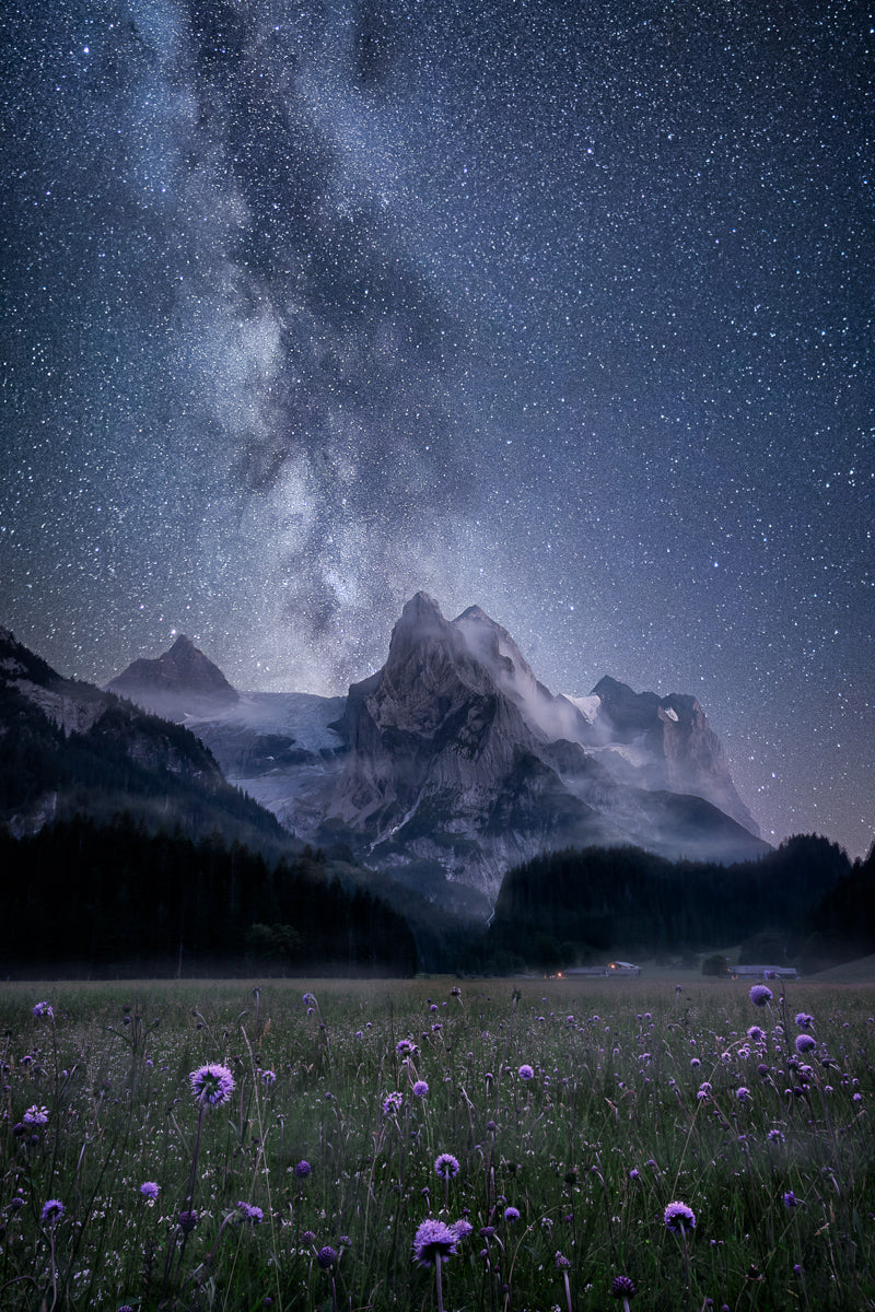 Milky Way, Wildflowers And Wellhorn | Original Print