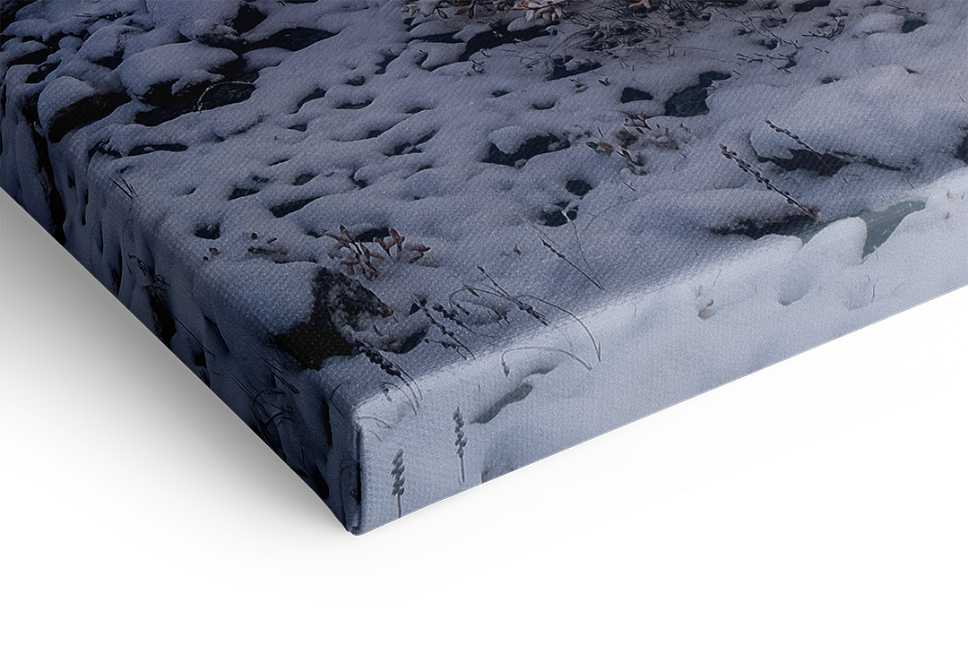 Winter Beginning At Sustenpass, Fünffingerstöcke | Original Print