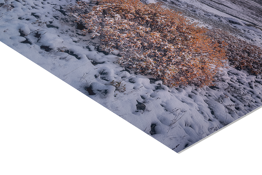 Winter at Sustenpass with a View of Fünffingerstöcke | Original Print