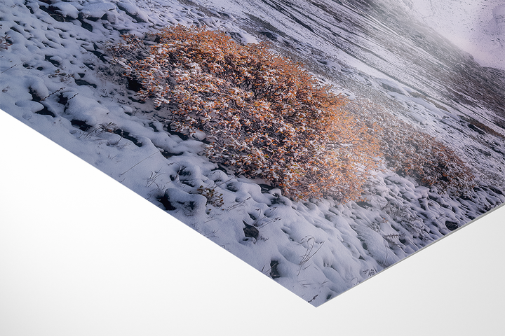 Winter Beginning At Sustenpass, Fünffingerstöcke | Original Print