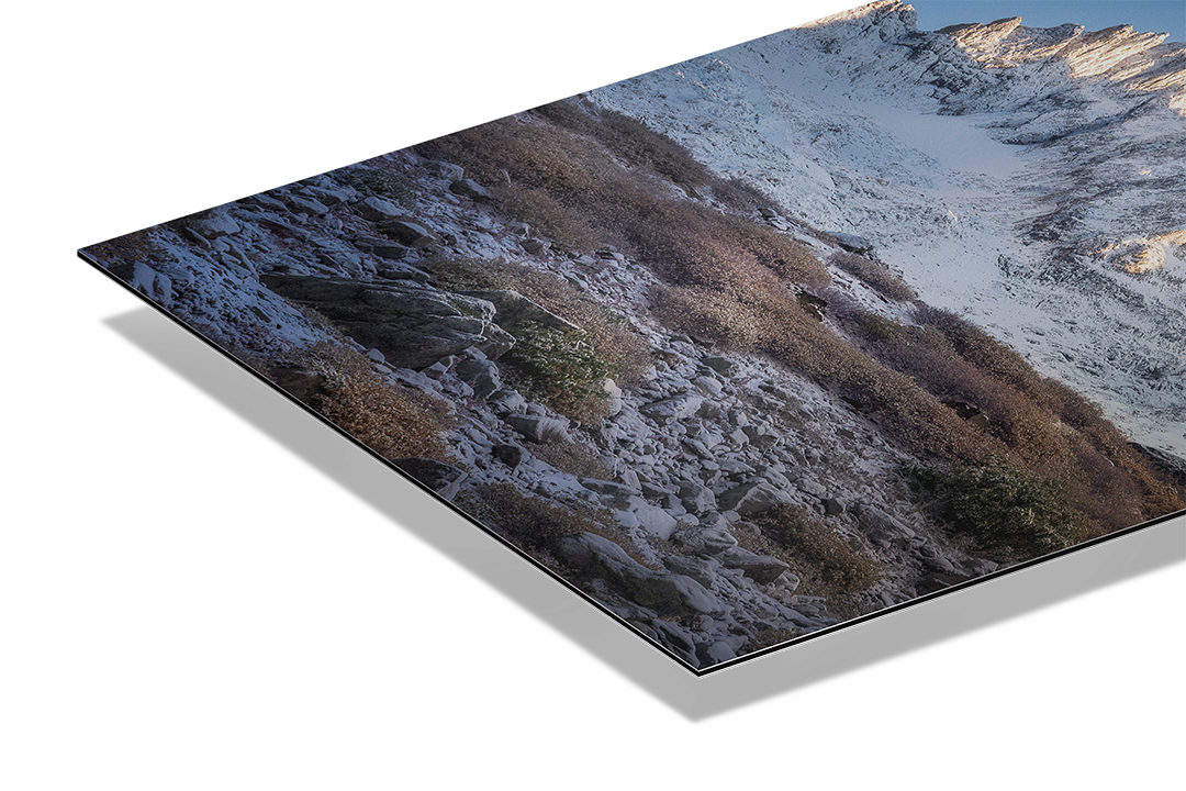Late Fall At Sustenpass, Fünffingerstöcke | Original Print