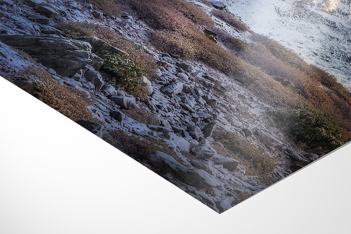Late Fall At Sustenpass, Fünffingerstöcke | Original Print