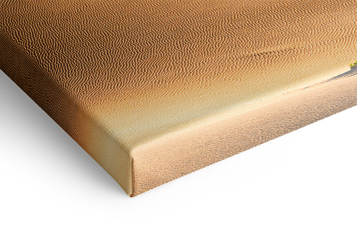 Mesquite Dunes, Death Valley National Park | Original Print