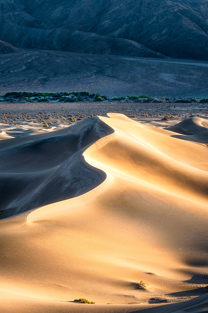 Mesquite Dunes, Death Valley National Park | Original Print