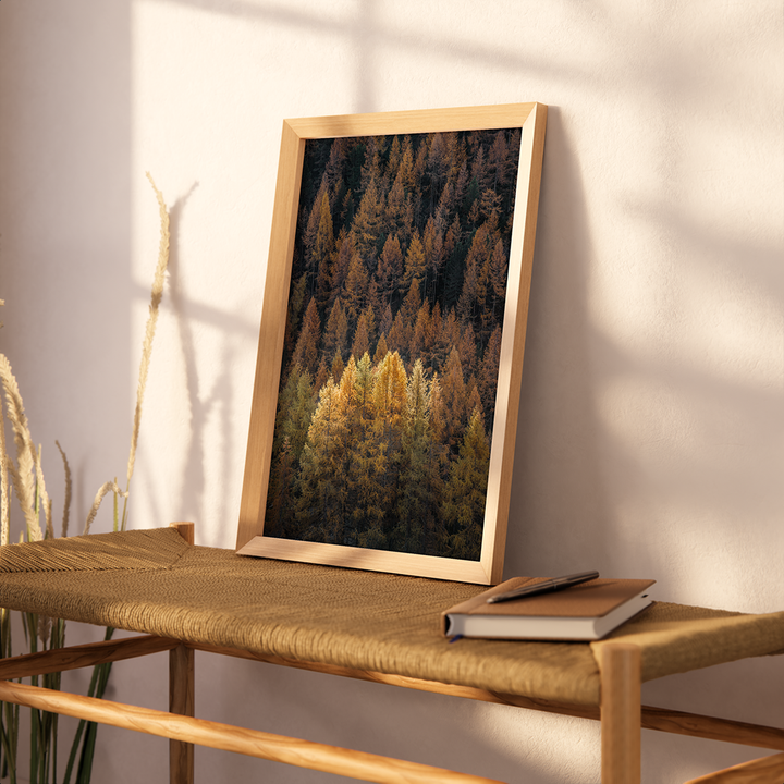 Goldener Lärchenwald in Zermatt | Original Print