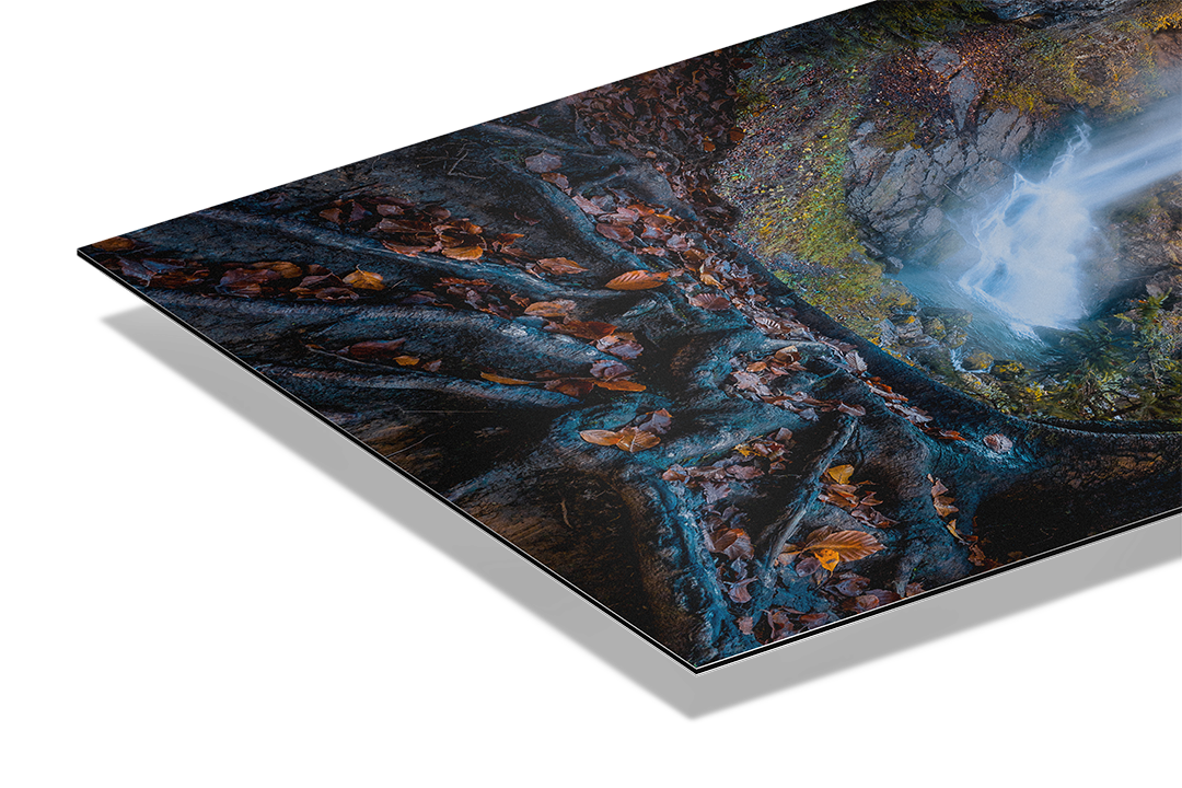 Waterfall And Golden Forest | Original Print