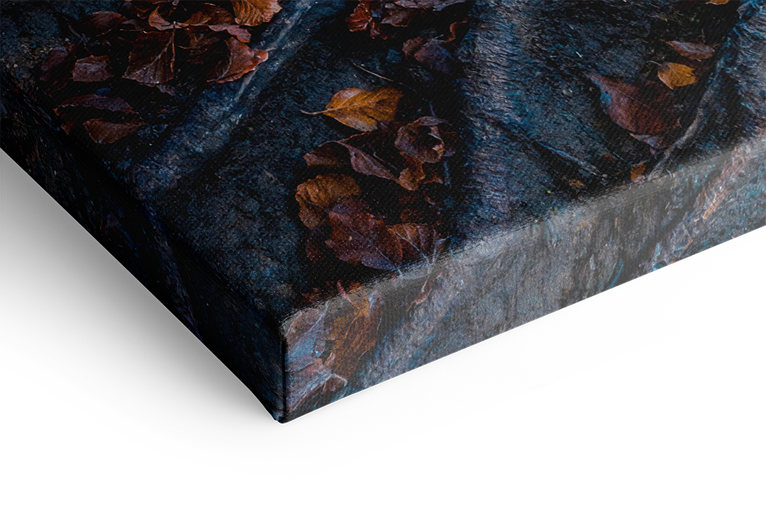 Waterfall And Golden Forest | Original Print