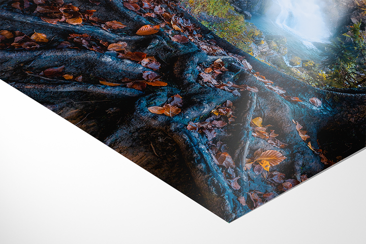 Waterfall And Golden Forest | Original Print