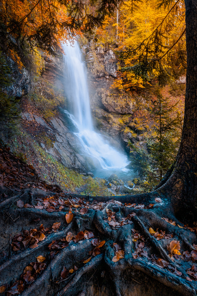 Waterfall And Golden Forest | Original Print
