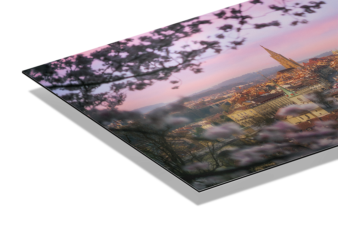 Frühling im Rosengarten, Bern | Original Print