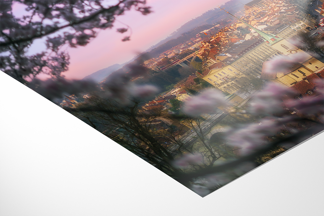 Bern City In Spring And Cherry Blossoms | Original Print