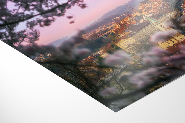 Bern City In Spring And Cherry Blossoms | Original Print