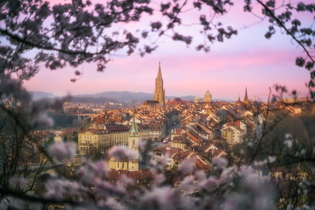 Bern City In Spring And Cherry Blossoms | Original Print