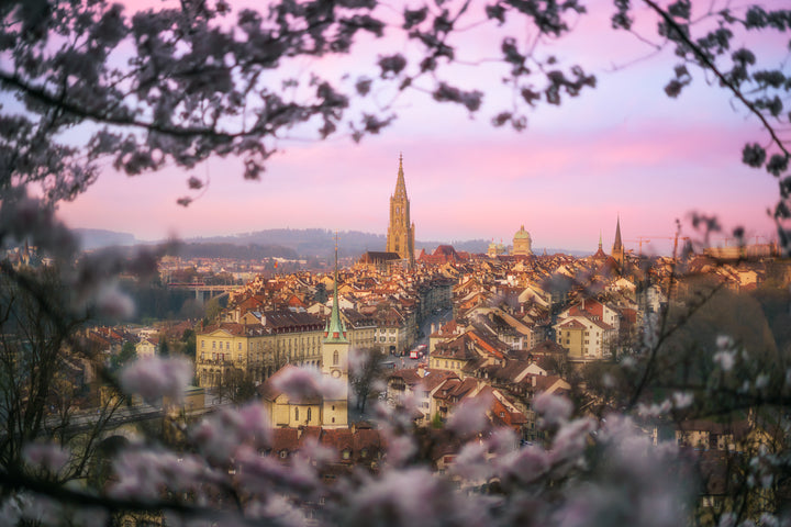 Bern City In Spring And Cherry Blossoms | Original Print