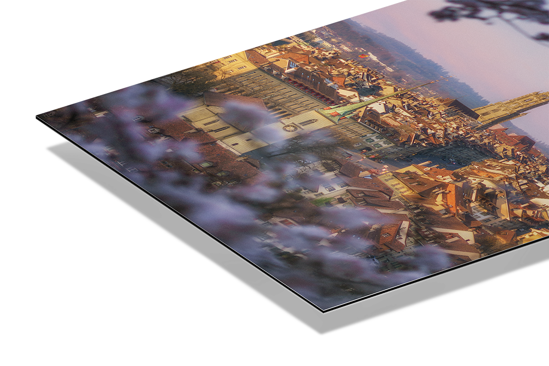 View From Rosengarten, City Of Bern | Original Print