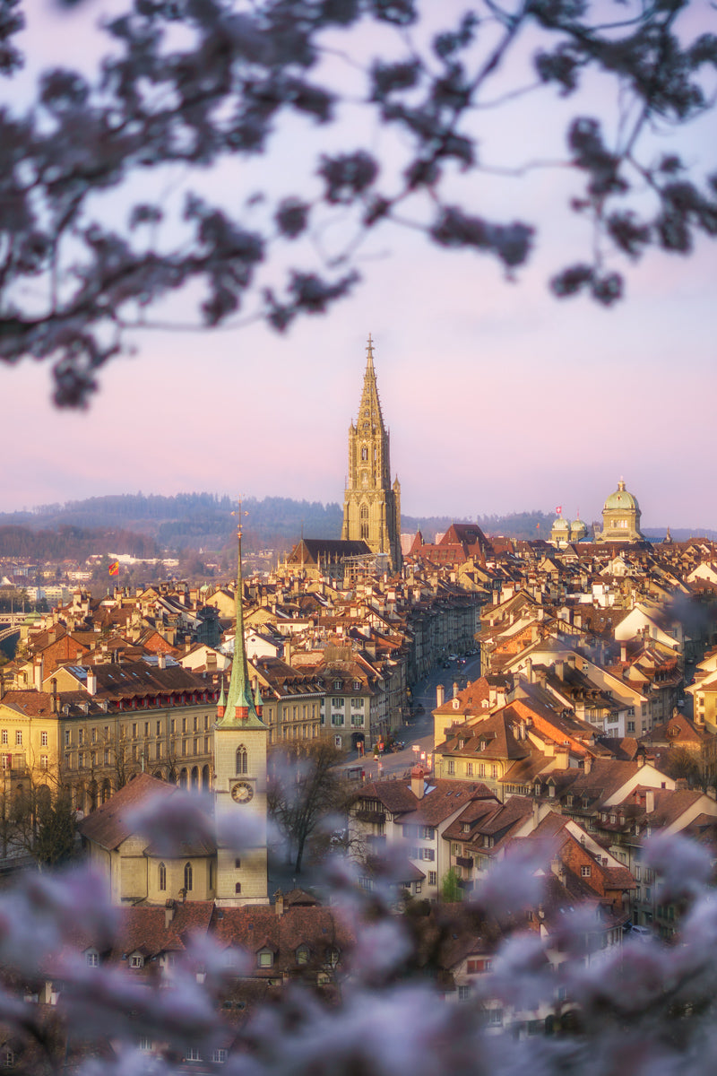 View From Rosengarten, City Of Bern | Original Print