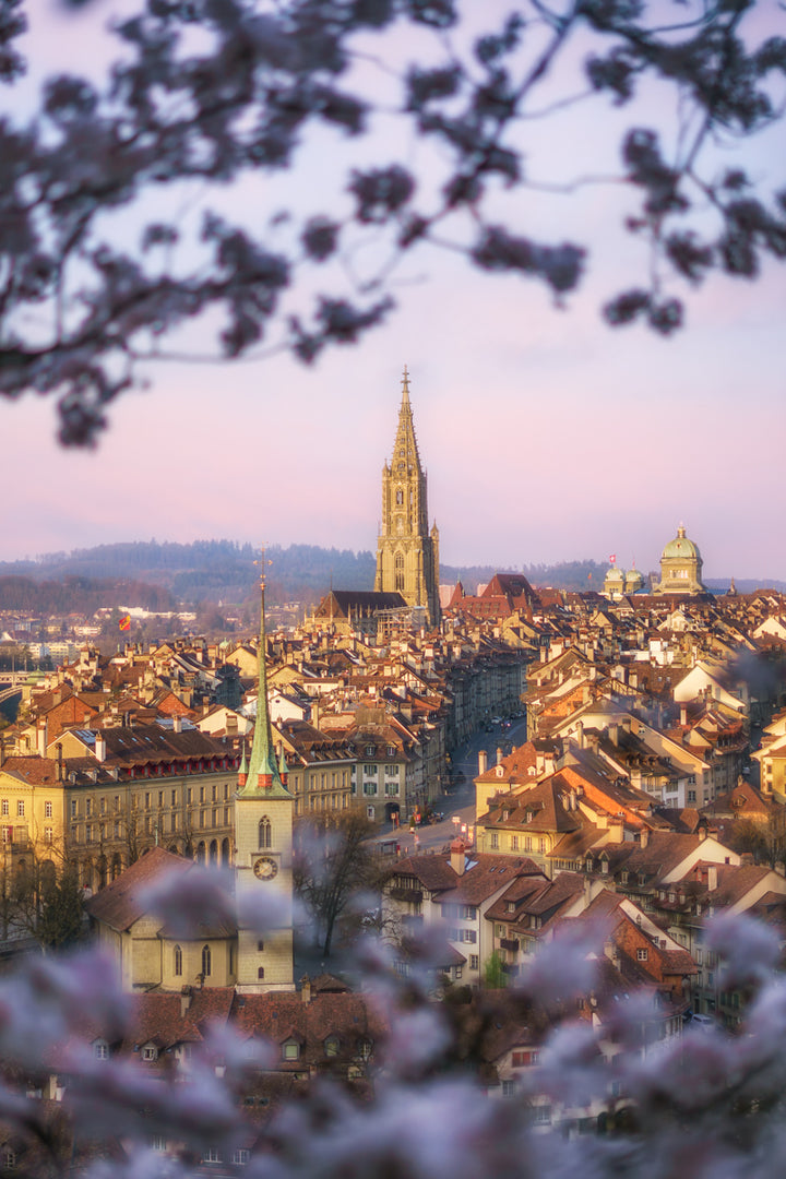 View From Rosengarten, City Of Bern | Original Print