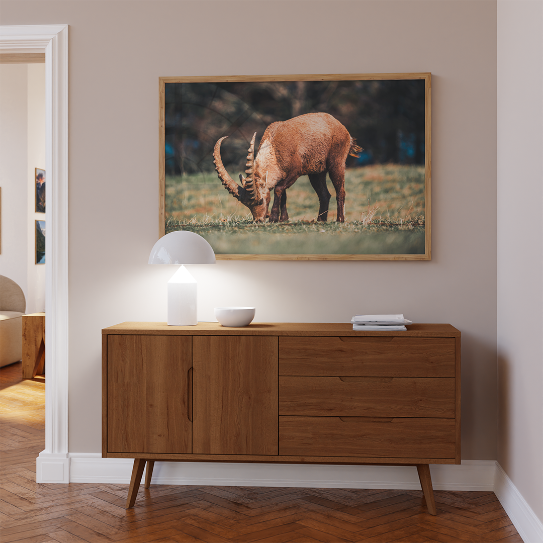 Ibex Grazing 2 | Original Print
