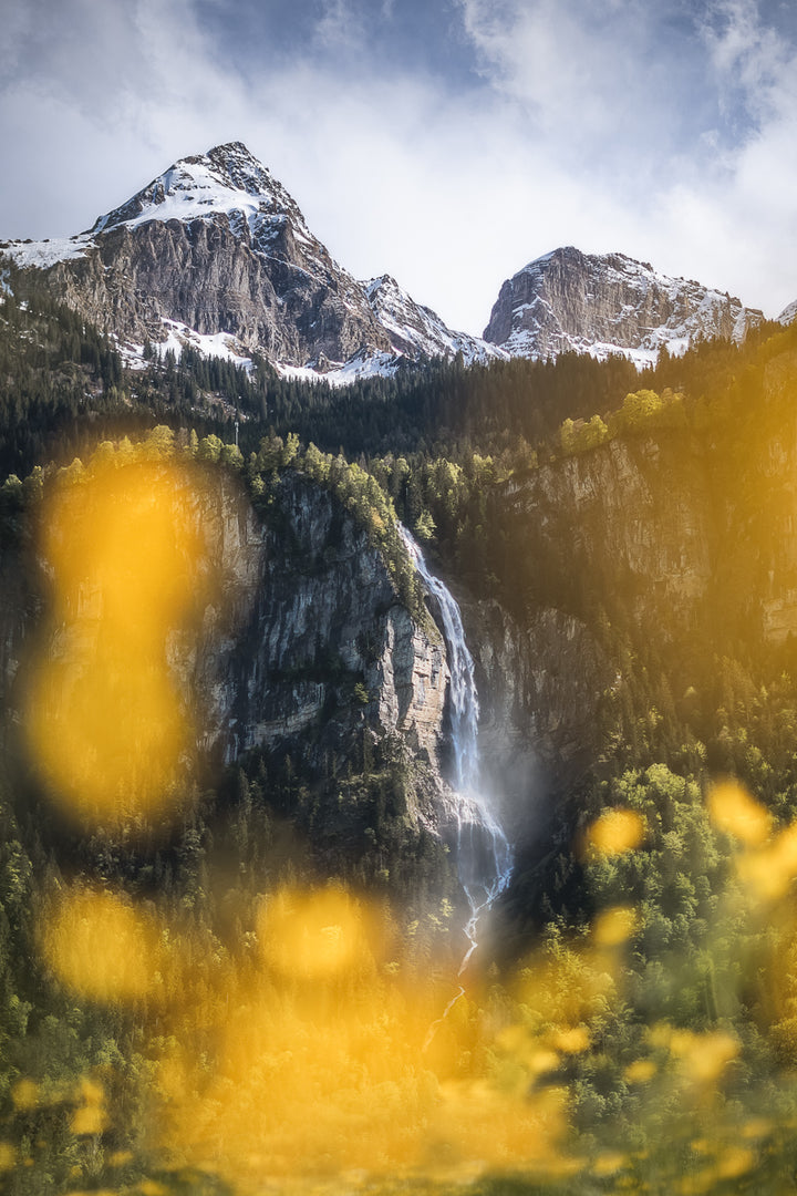 Frühlingsblumen am Oltischbach-Wasserfall | Original Print