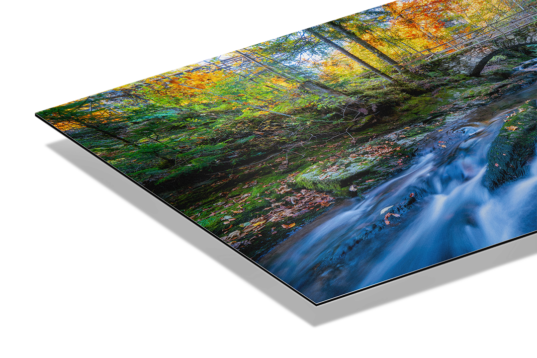 Fluss Und Wald Im Herbst | Original Print