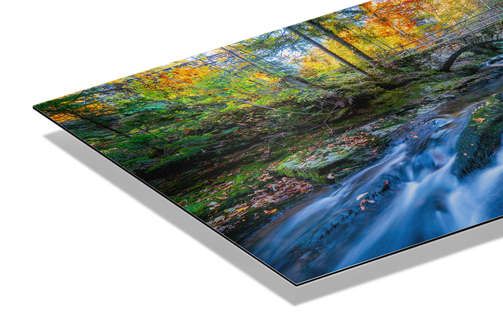 Fluss Und Wald Im Herbst | Original Print