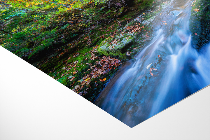 Fluss Und Wald Im Herbst | Original Print