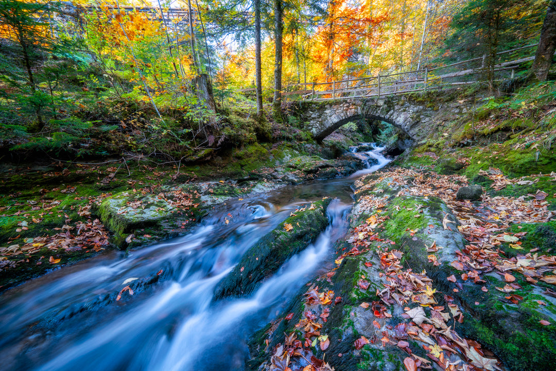 Fluss Und Wald Im Herbst | Original Print