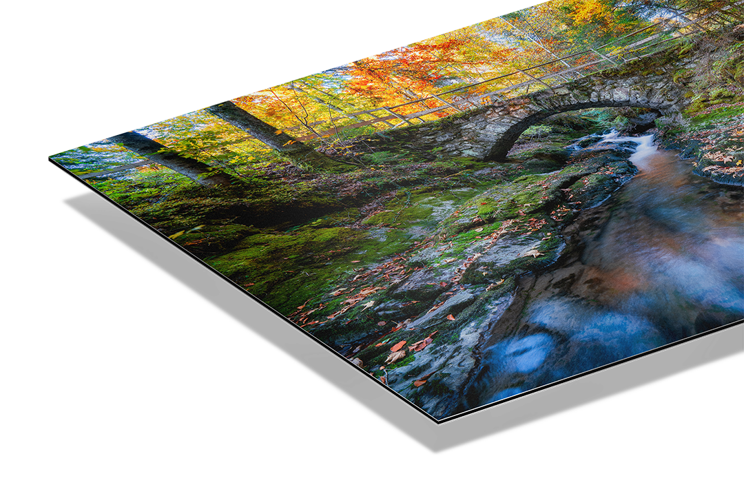 Fluss Und Wald Im Herbst 2 | Original Print