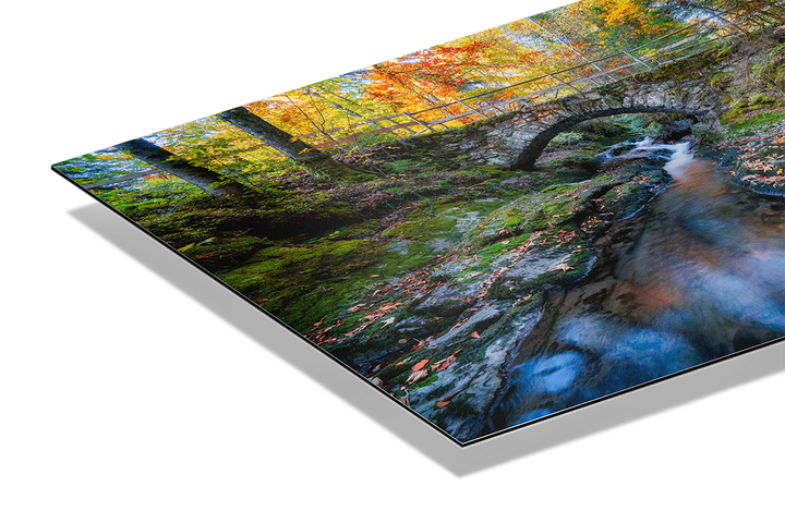 Fluss Und Wald Im Herbst 2 | Original Print