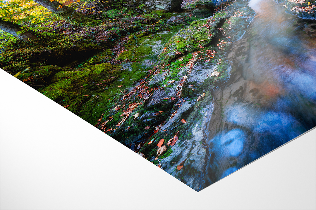 Fluss Und Wald Im Herbst 2 | Original Print
