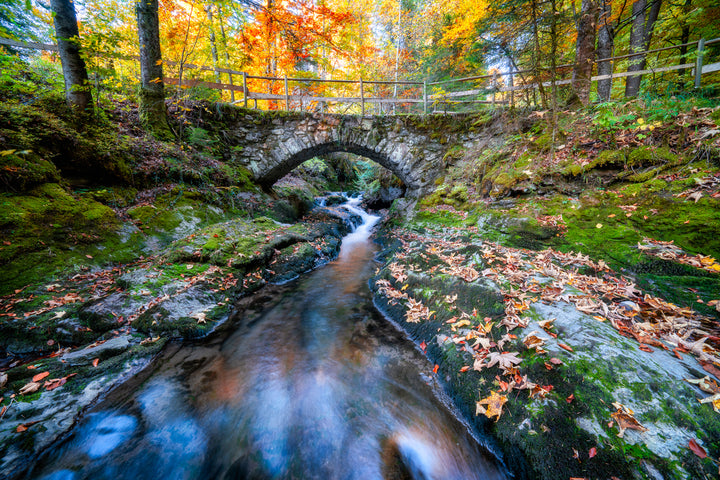Fluss Und Wald Im Herbst 2 | Original Print