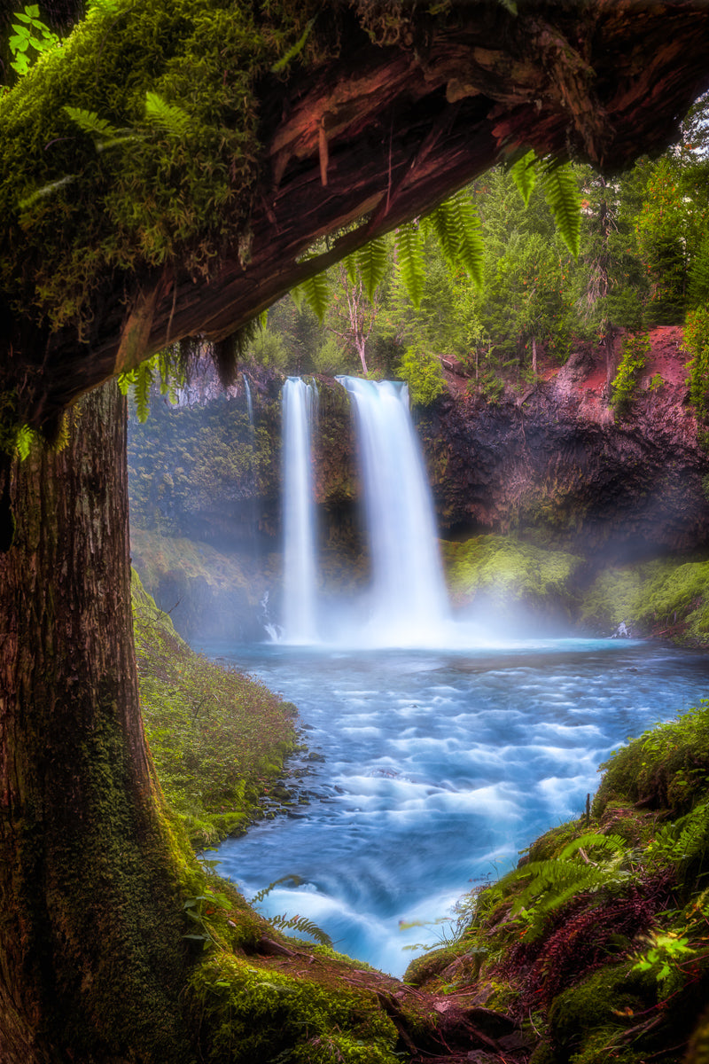 Koosah Falls Wasserfall, Oregon | Original Print