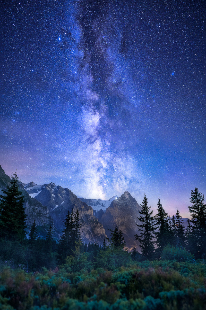 Milky Way, Forest And Eiger Mountain | Original Print