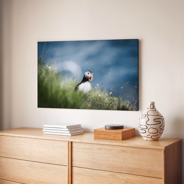 Puffin on Faroe Islands | Original Print